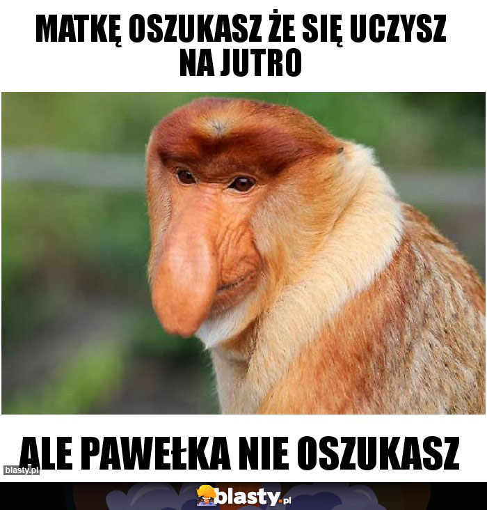 matkę oszukasz że się uczysz na jutro