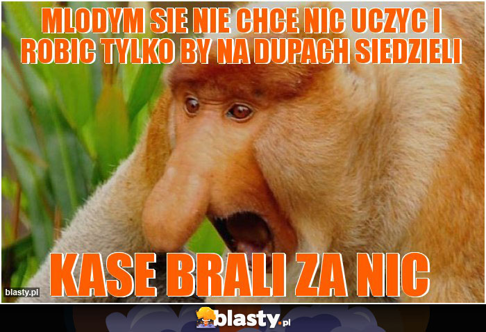 mlodym sie nie chce nic uczyc i robic tylko by na dupach siedzieli