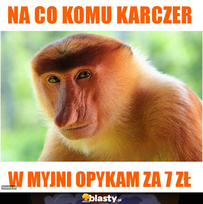 Na co komu karczer