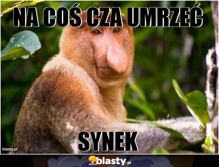 Na coś cza umrzeć