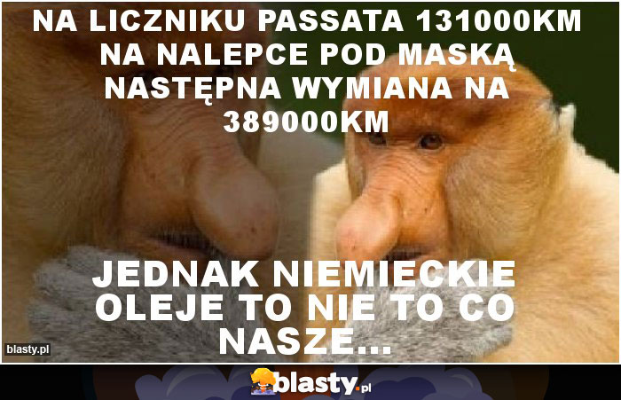 Na liczniku passata 131000KM na nalepce pod maską następna wymiana na 389000km