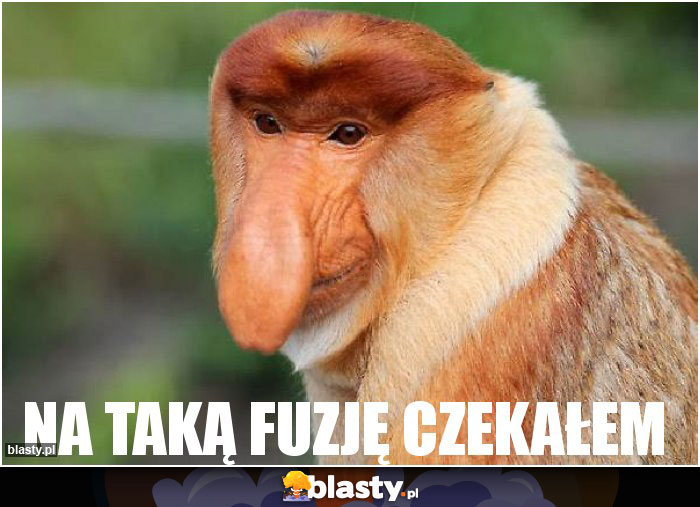 NA TAKĄ FUZJĘ CZEKAŁEM