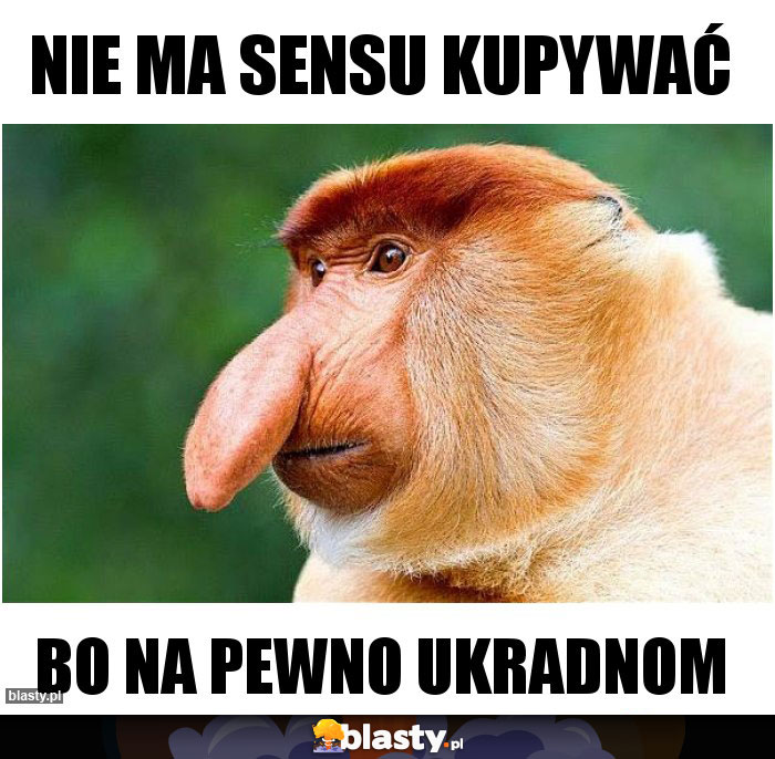 Nie ma sensu kupywać