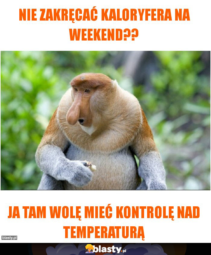 NIE ZAKRĘCAĆ KALORYFERA NA WEEKEND??