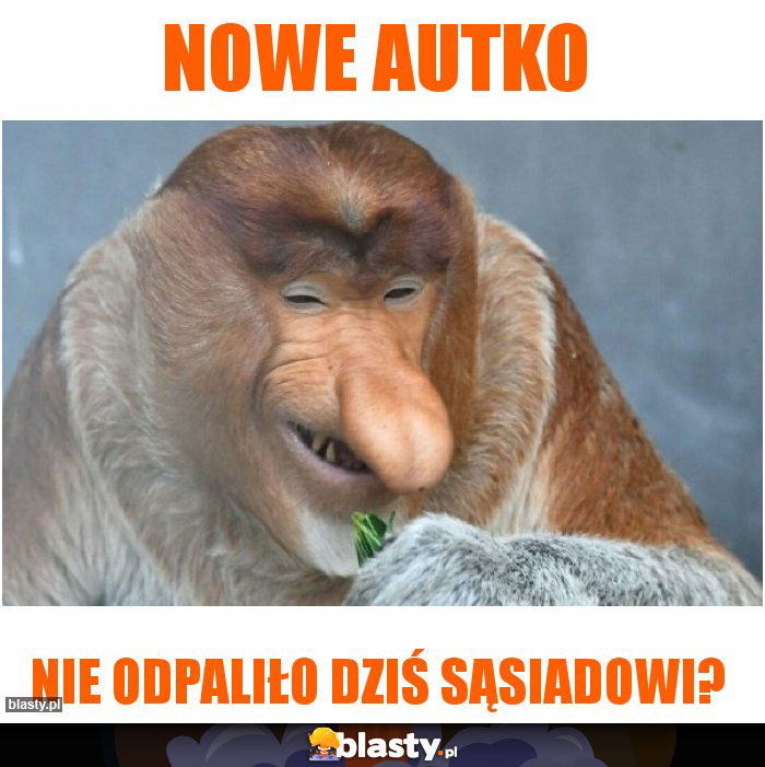 Nowe autko