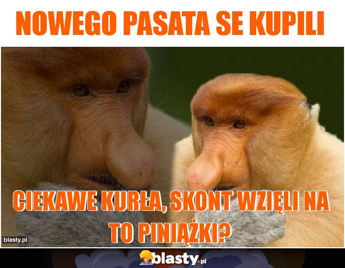 Nowego pasata se kupili