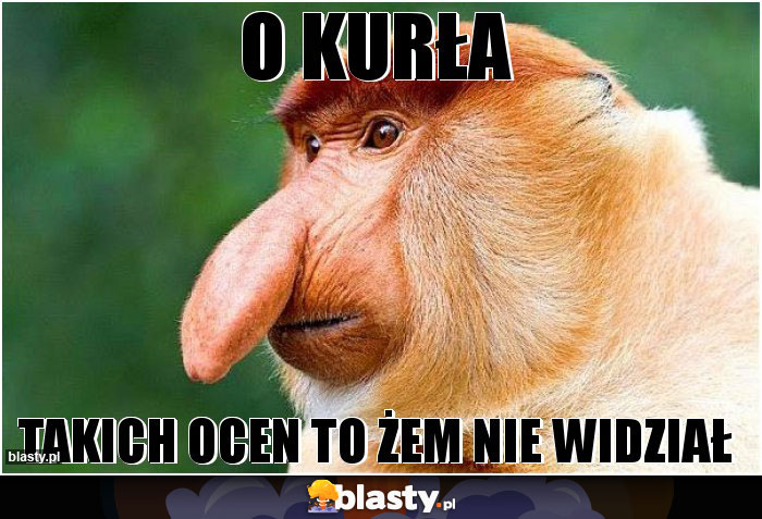 O KURŁA