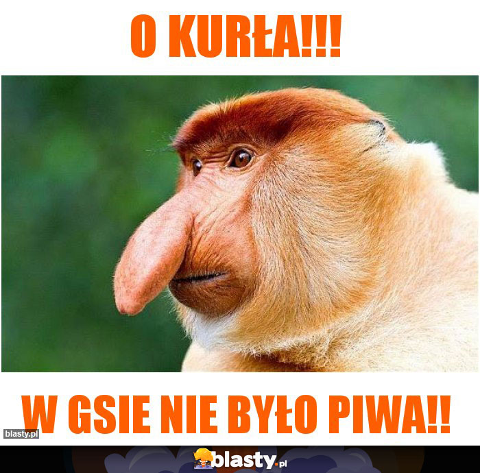 O KURŁA!!!