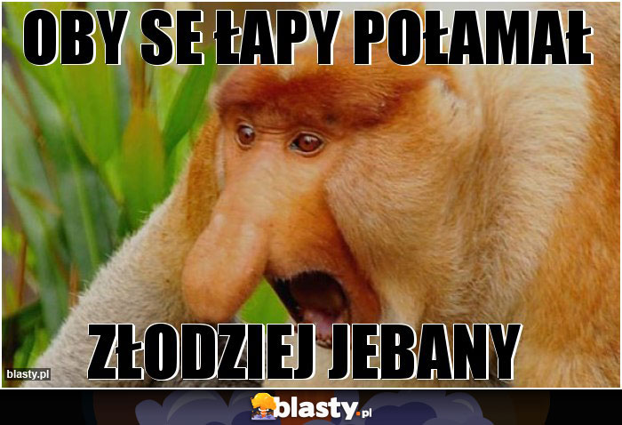 OBY SE ŁAPY POŁAMAŁ