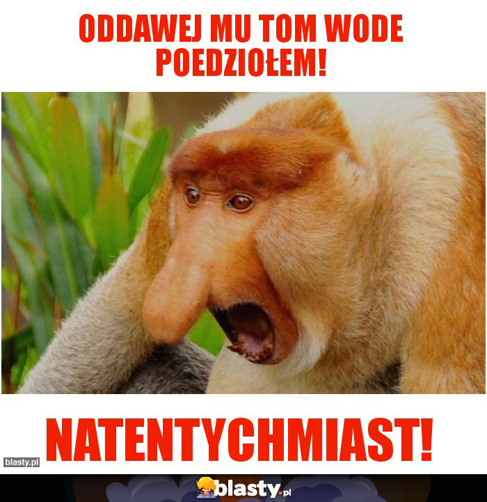 Oddawej mu tom wode poedziołem!