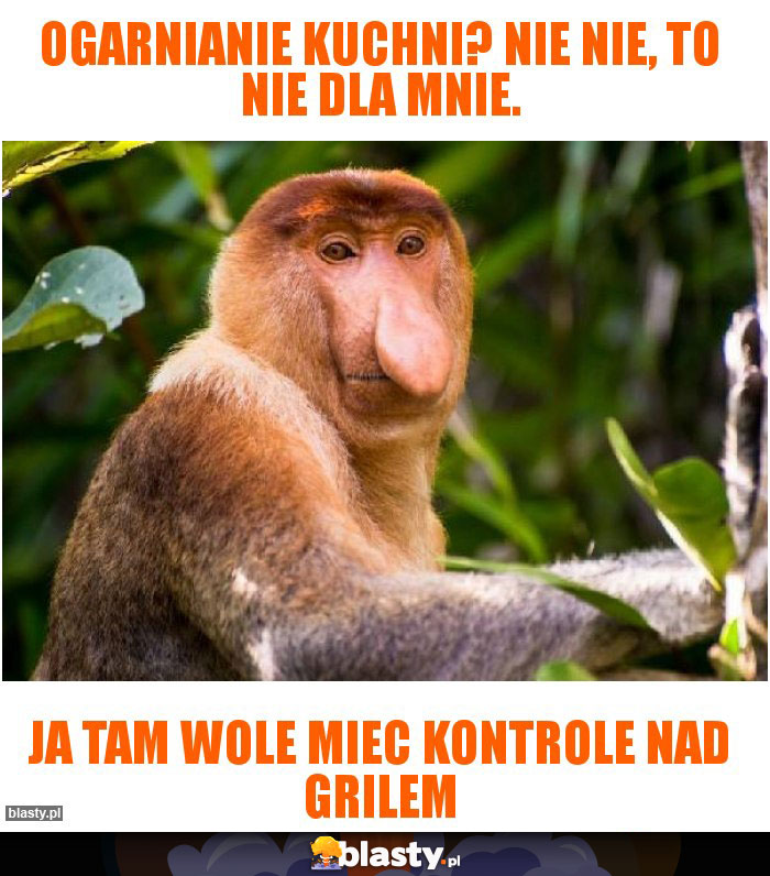 Ogarnianie kuchni? Nie nie, to nie dla mnie.