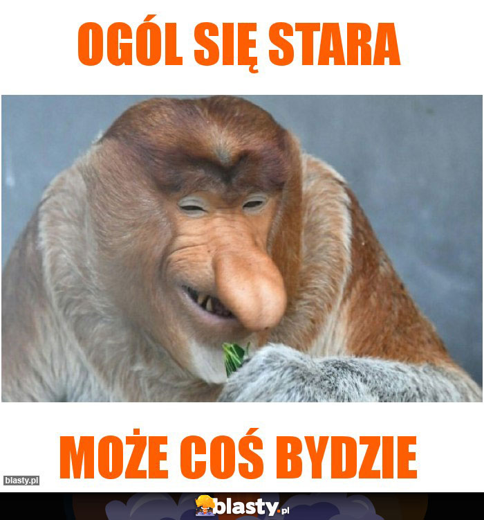 ogól się stara