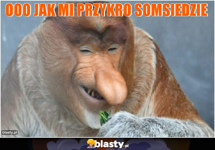 Ooo jak mi przykro somsiedzie