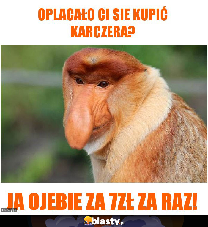 Oplacało Ci sie Kupić Karczera?