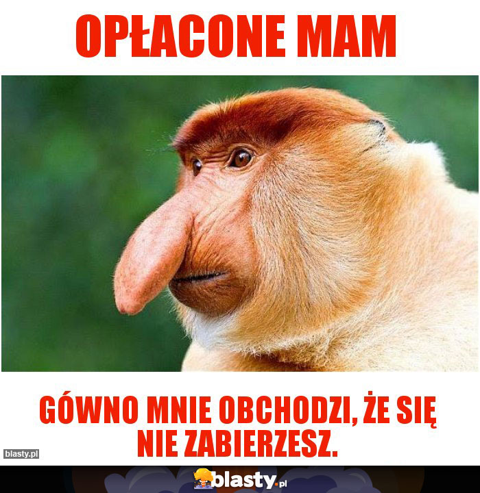 Opłacone mam