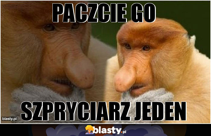 Paczcie go