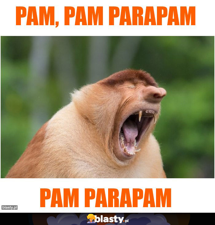 Pam, Pam parapam