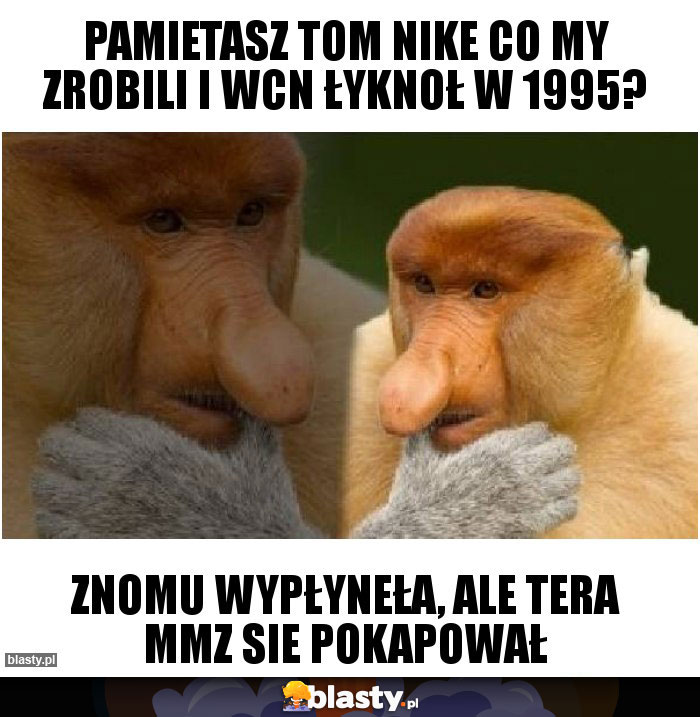 PAMIETASZ TOM NIKE CO MY ZROBILI I WCN ŁYKNOŁ W 1995?