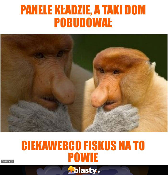 Panele kładzie, a taki dom pobudował