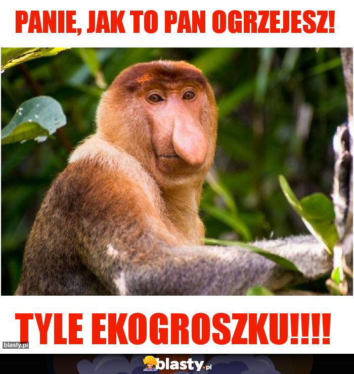 Panie, jak to pan ogrzejesz!