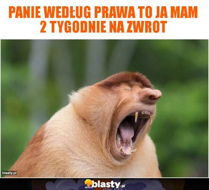 Panie według prawa to ja mam 2 tygodnie na zwrot