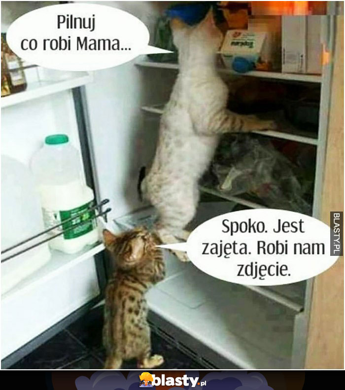 Pilnuj co robi mama