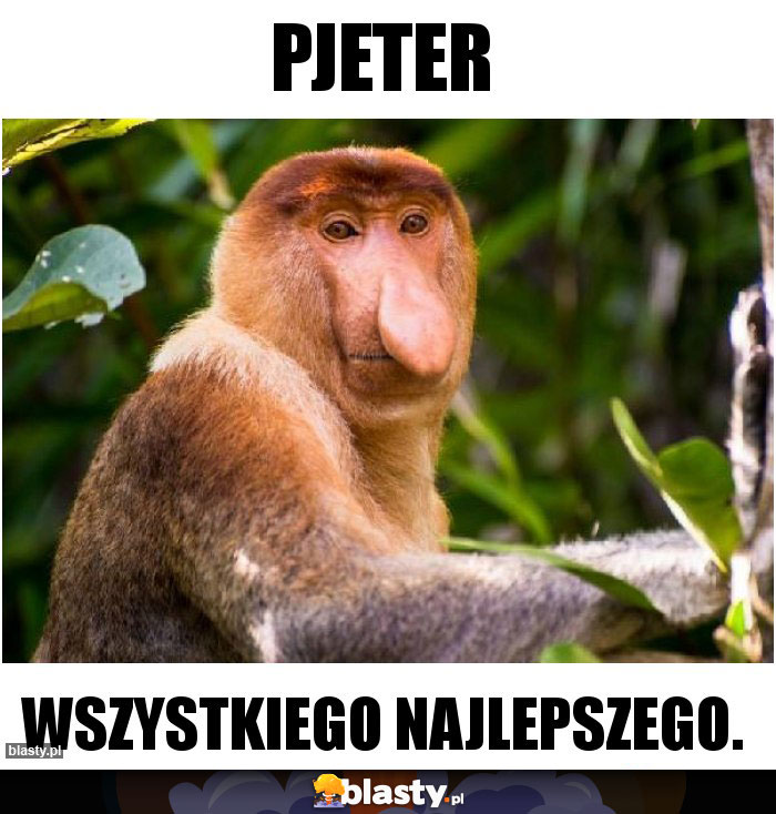 Pjeter