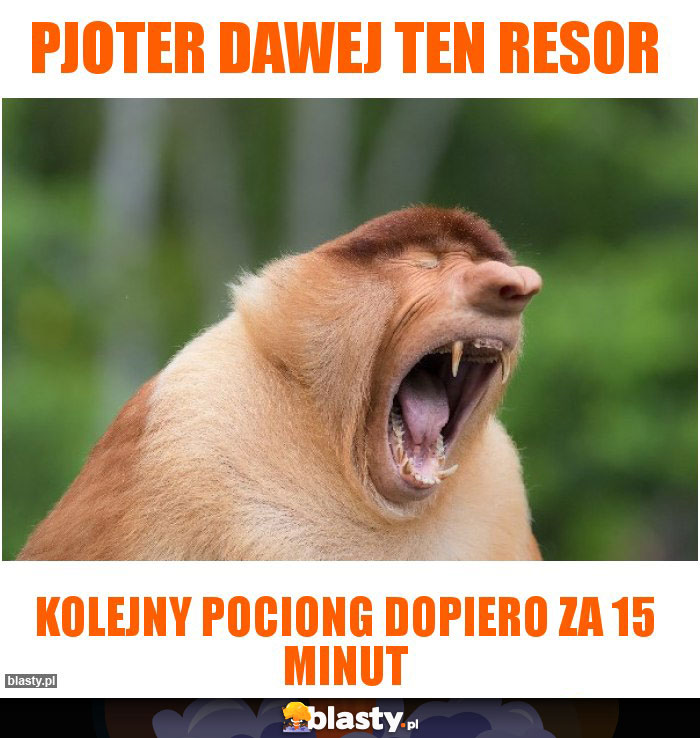 Pjoter dawej ten resor