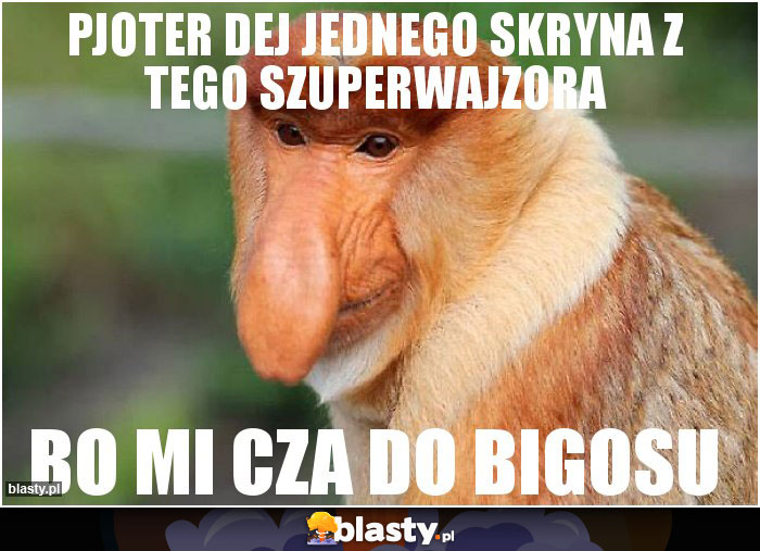 Pjoter dej jednego skryna z tego szuperwajzora