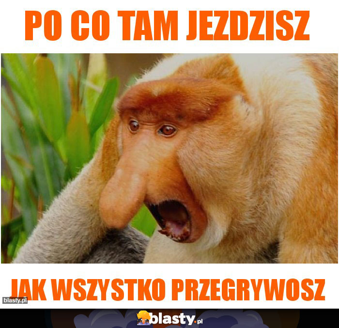 Po co tam jezdzisz