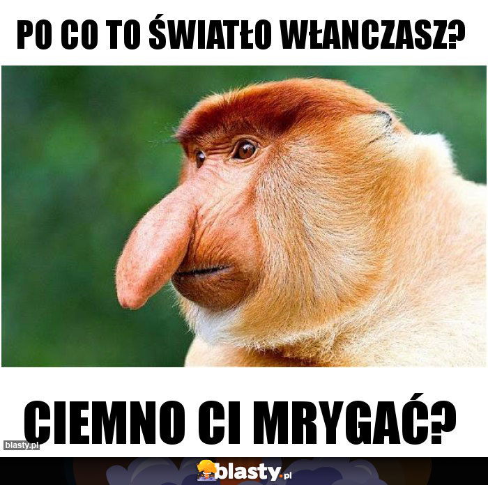 Po co to światło włanczasz?