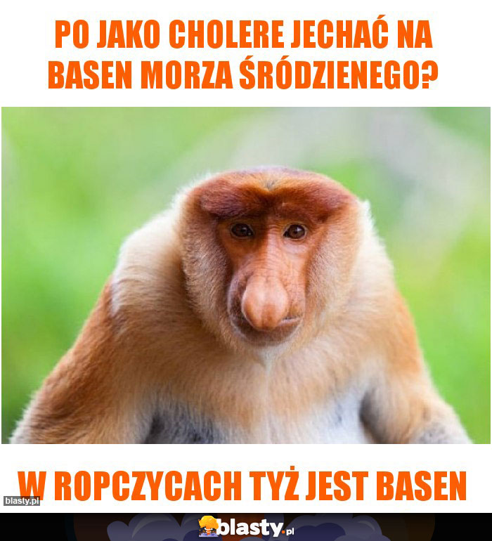 Po jako cholere jechać na basen morza śródzienego?