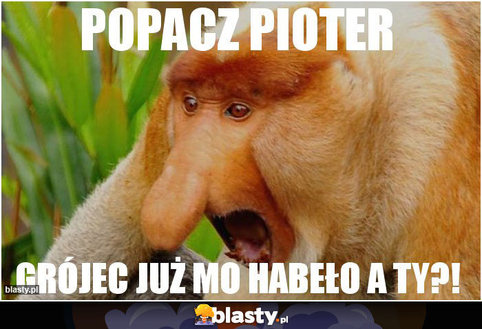 popacz pioter