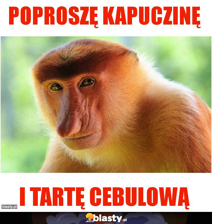 Poproszę kapuczinę