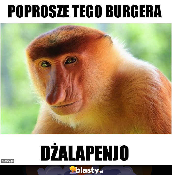 Poprosze tego burgera