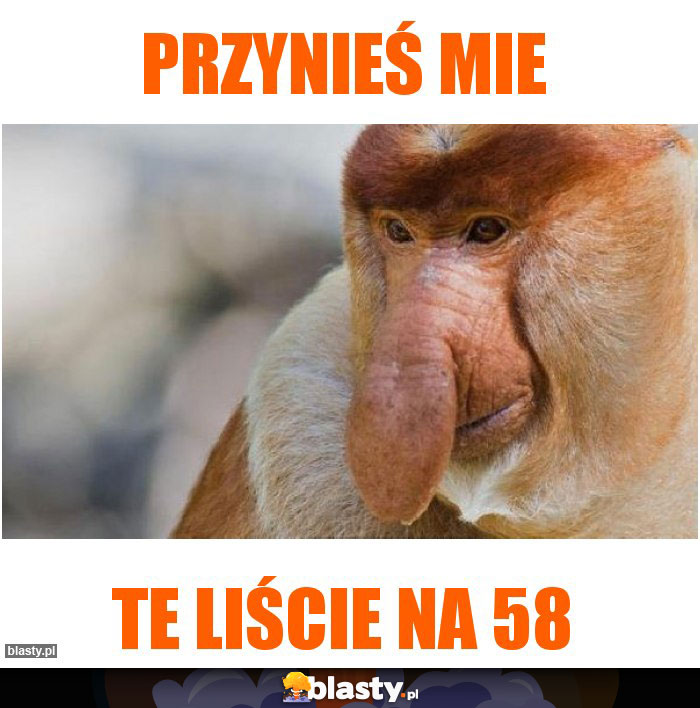 Przynieś mie