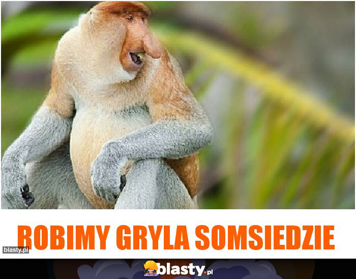 ROBIMY GRYLA SOMSIEDZIE