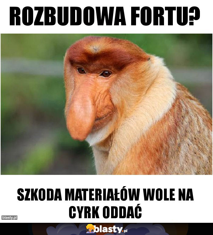 Rozbudowa fortu?