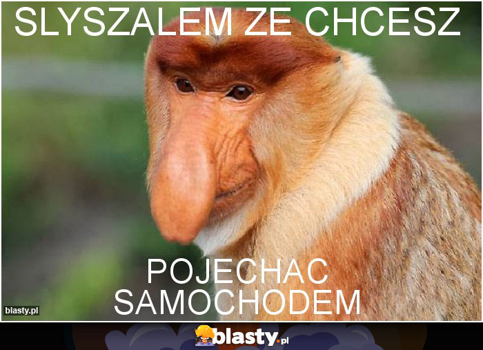 Slyszalem ze chcesz