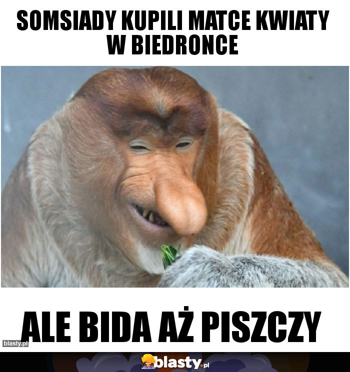 Somsiady kupili matce kwiaty w biedronce