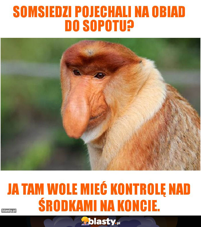 Somsiedzi pojechali na obiad do Sopotu?