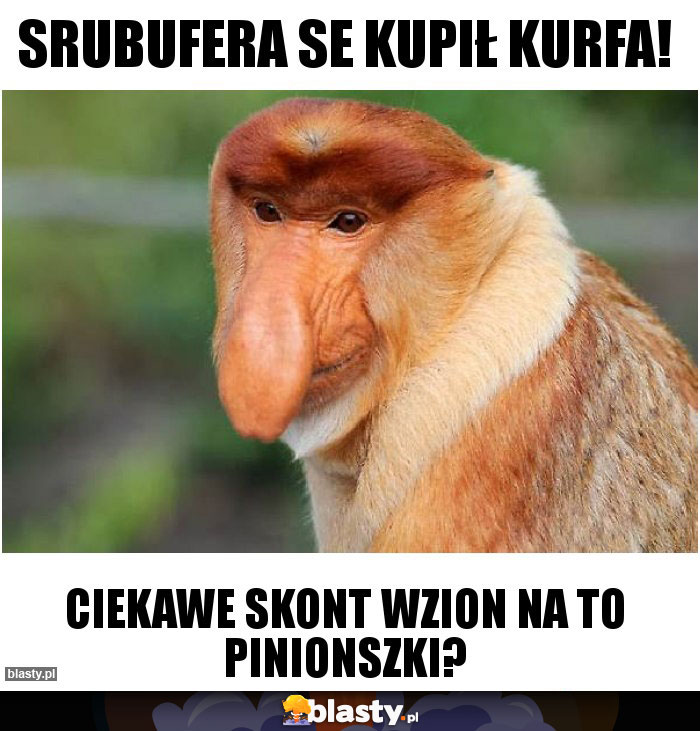 SRUBUFERA SE KUPIŁ kurfa!