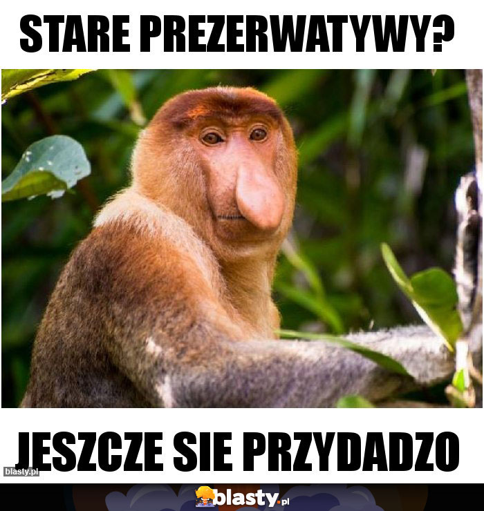 Stare prezerwatywy?