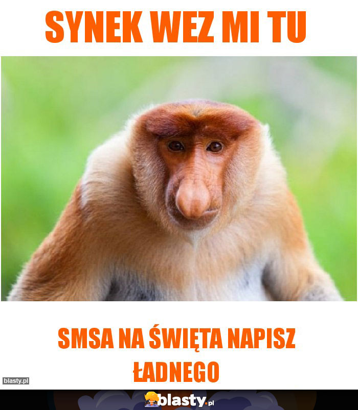 Synek wez mi tu