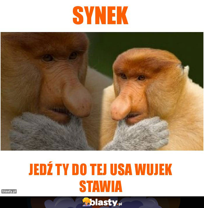 synek