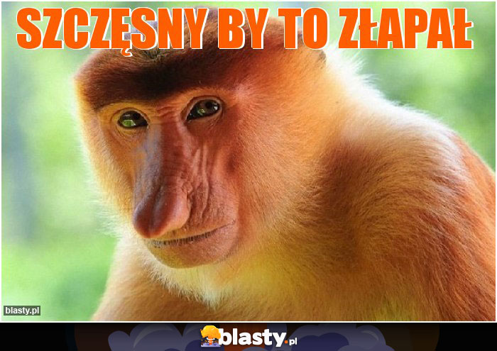 Szczęsny by to złapał