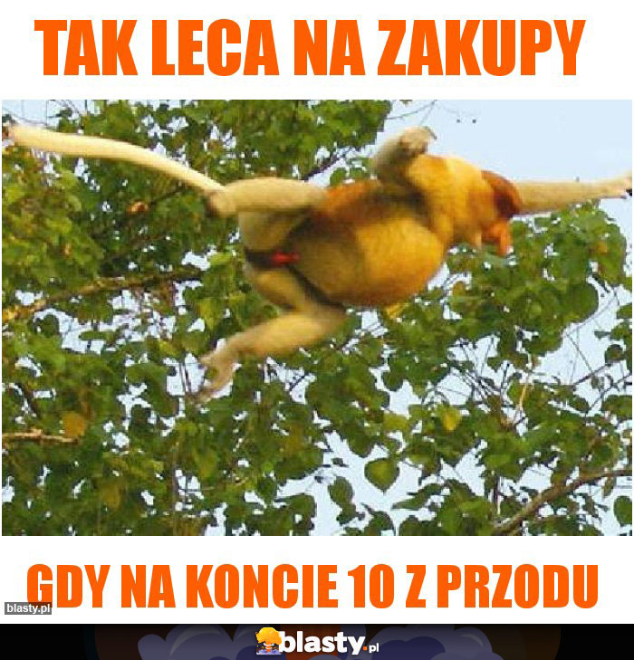 TAK LECA NA ZAKUPY