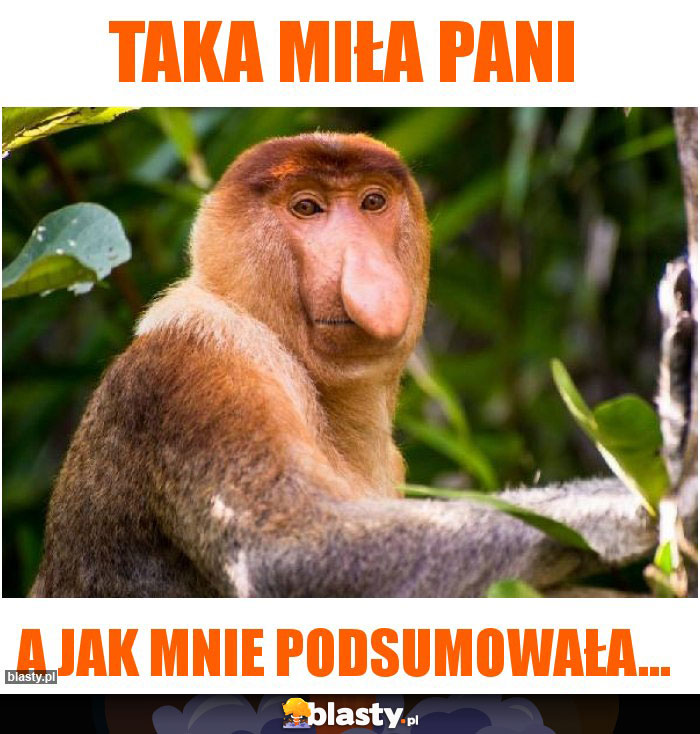 Taka miła pani