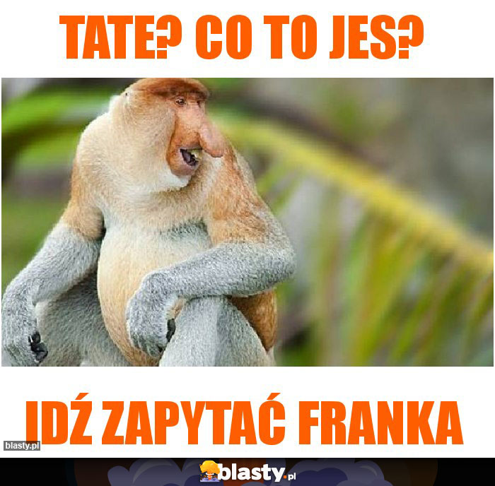 Tate? Co to jes?