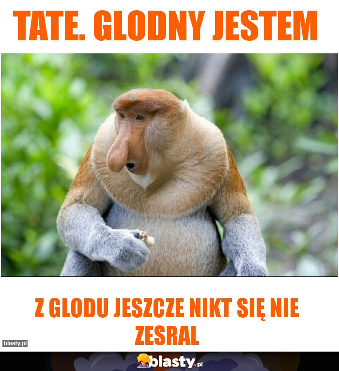 Tate. Glodny jestem